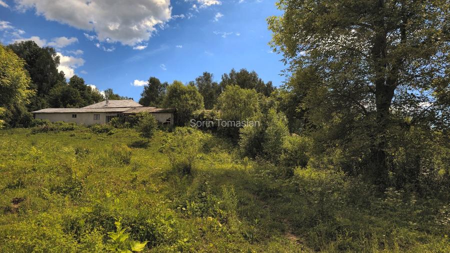 Teren pitoresc, linistit, in zona impadurita de deal - 10