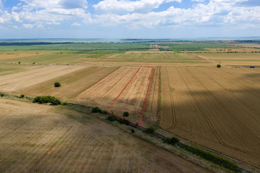 Vând teren agricol la șosea de 30.000mp în Iazurile comuna Valea Nucarilor