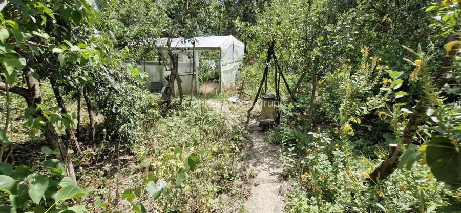 Casa si teren 3000 mp Naipu Giurgiu - 16