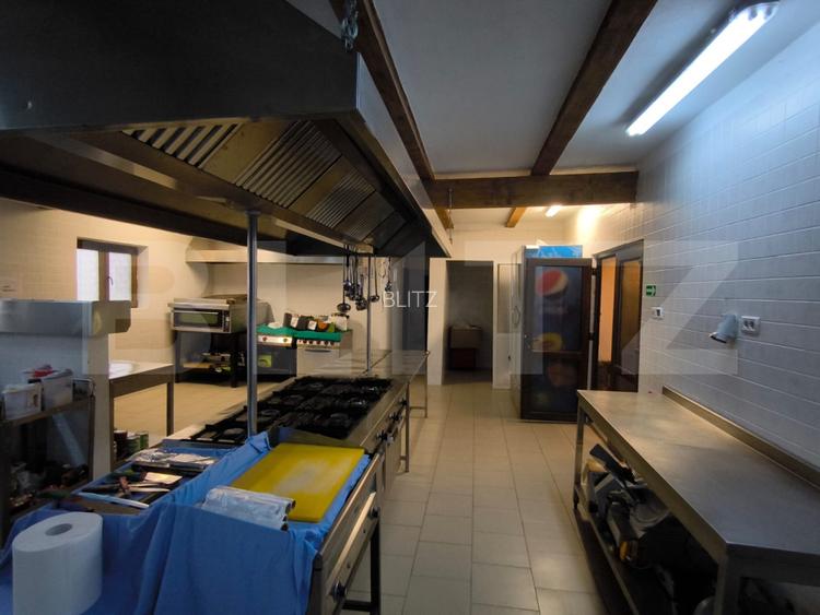 Proprietate multifuncțională, 1.850 mp utili, 23.750 mp teren, zona Brestei - 12