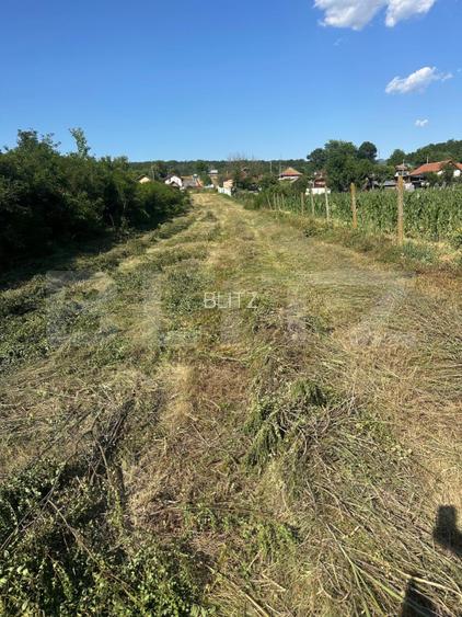 Teren 2280 mp, zona Balesti - 2