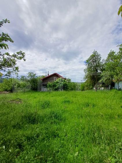 Casa 3 camere si teren 4873 mp  în Pietroasa, Moldovenești - 11
