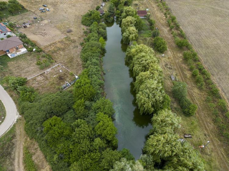 Teren de 7900 mp cu baltă de pescuit în Frumușeni