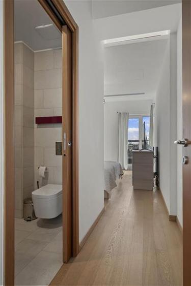 Penthouse deosebit langa parc | Aviatorilor- Charles de Gaulle
