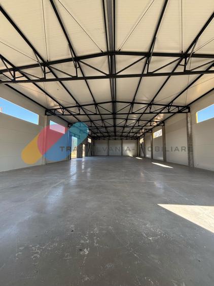 Hale de vânzare – 600 mp, open space, acces TIR, zona intrare Baciu