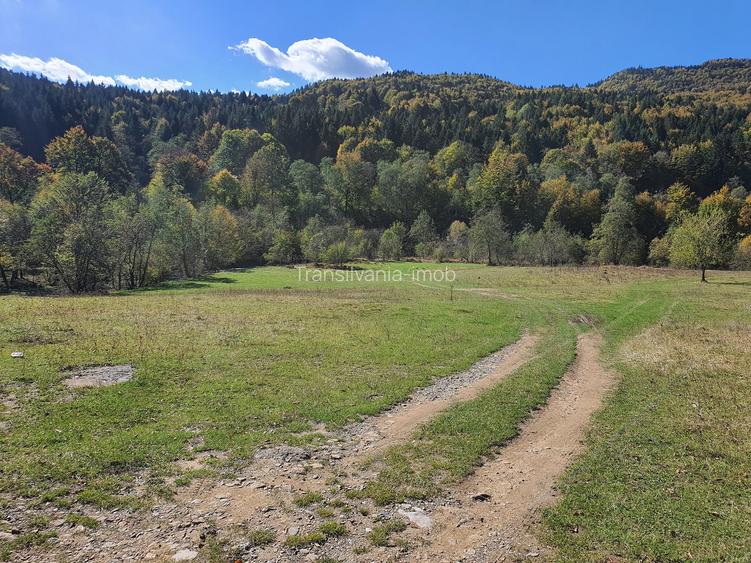 Teren 18.800 mp Săcele – Brădet | Acces DN1A | Deschidere 250 ml