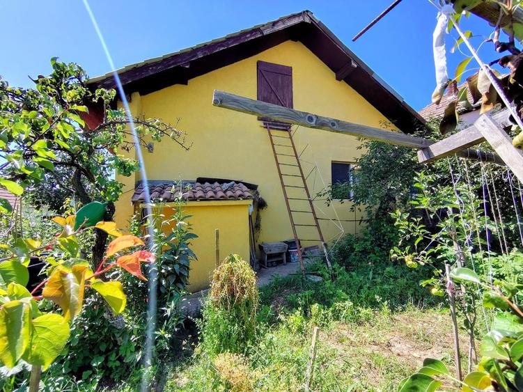 Casa unifamiliala 120 mp utili, cu 477 mp teren, garaj, Dambul Rotund