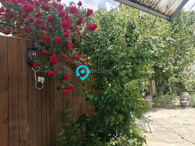 Proprietate rară în Popa Nan – 3 camere | Curte | Gradina - 28