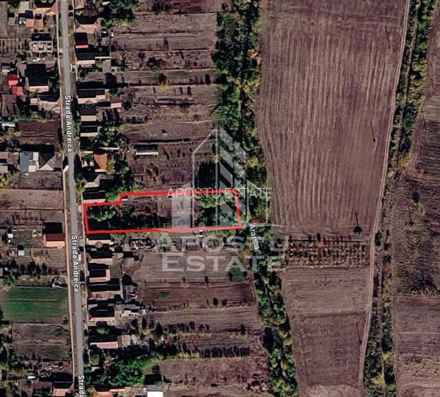 Se vinde teren intravilan în Sânnicolau Mare – oportunitate rară - 2