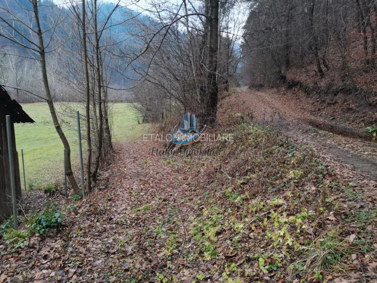 Teren Straja – Pangarati 3560 m, zona de Pensiune - 7
