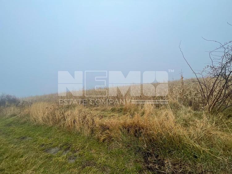 TEREN EXTRAVILAN | DOUA PARCELE 2.84 HA| DARMANESTI
