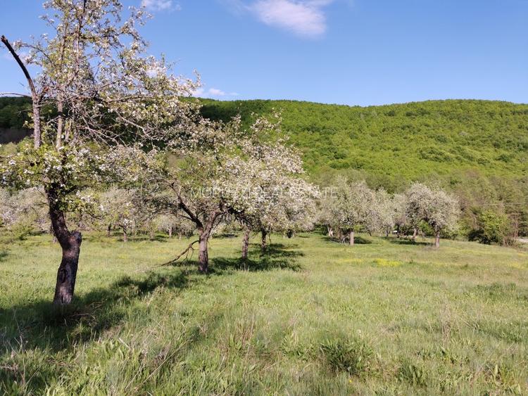Teren de Vânzare, Budeasa Mica – Potrivit pentru Casă de Vacanță sau Investiție - 11