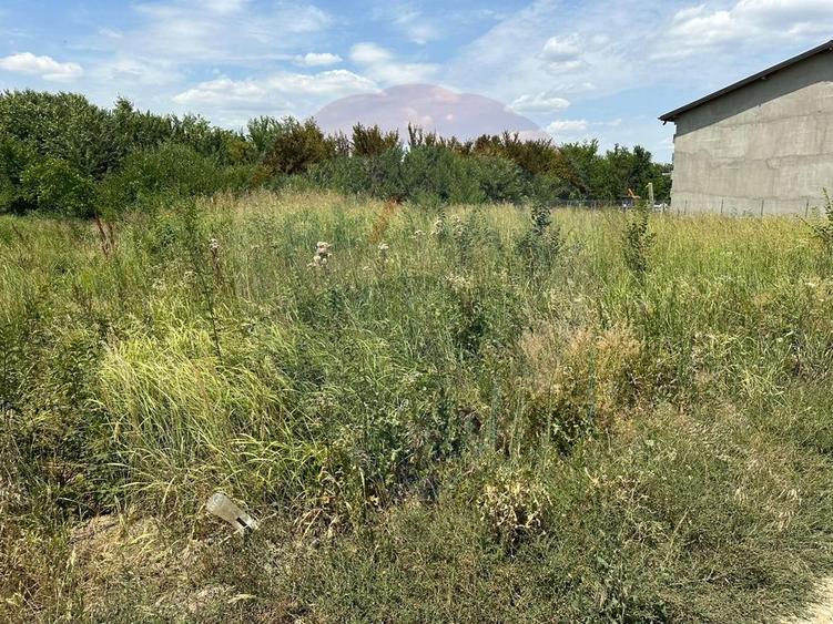 VANZARE Teren intravilan 1120 mp Balotesti / Strada Primaverii / Ilfov
