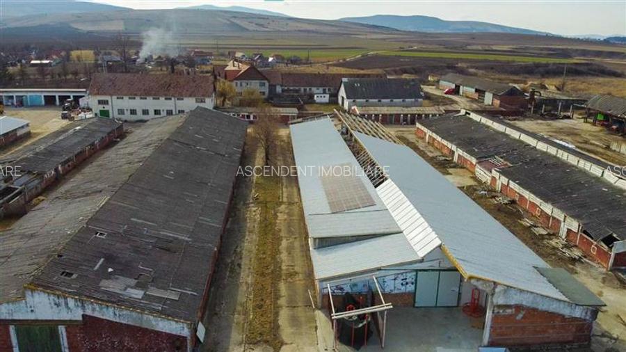 Ansamblu agrozootehnic cu renume,dotat +valoare exceptionala+potential versatil, - 47