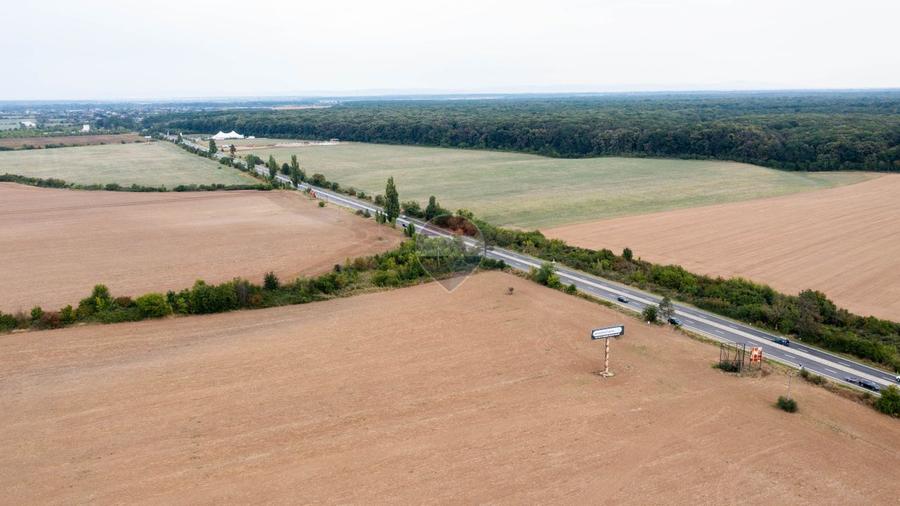 Teren intravilan 10.000mp Ciolpani, acces direct din DN1