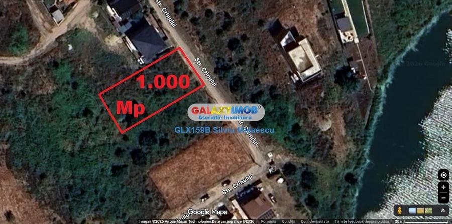 Mogosoaia 1.000 Mp str. Crinului