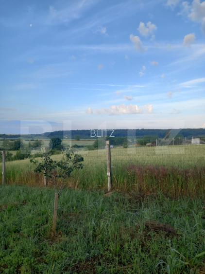 Teren intravilan, 4447 mp, 28 ml deschidere, Pielesti - 4