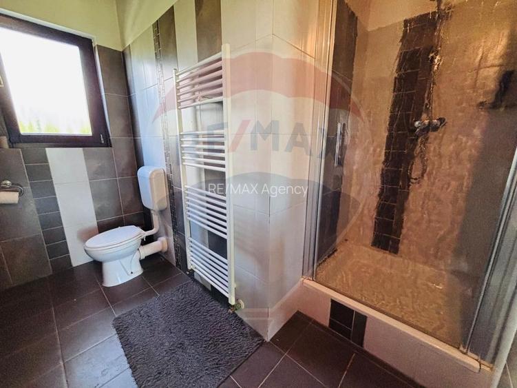 Casa de vacanta de închiriat  Cornetu -Mihailesti - 14