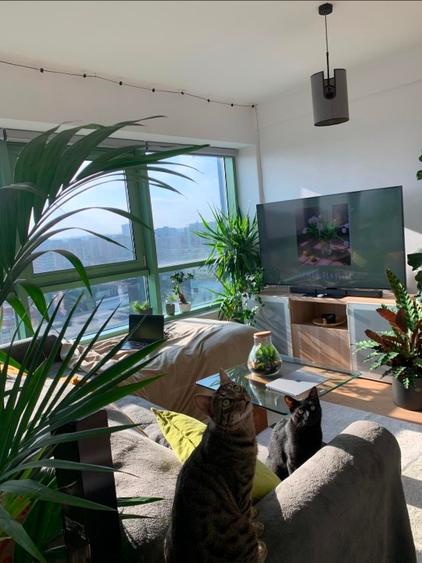 Apartament 2 camere Parcul Circului | Parcare subterană + boxă incluse