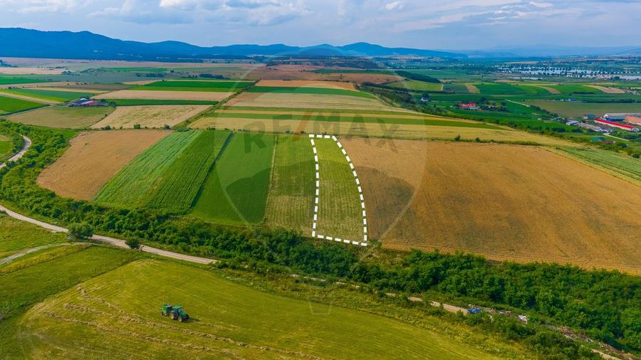 Oportunitate pentru fermieri: 10.800 mp teren arabil în Rotbav, Brașov
