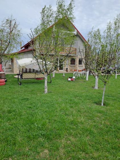 Refugiul Tău Verde: Casă Spațioasă cu Livadă, Anexe și Panouri Solare