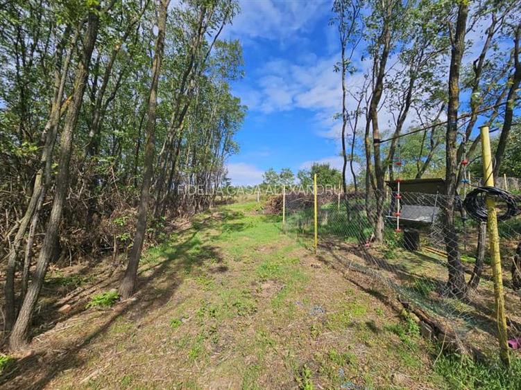 Teren intravilan 904 mp, langa padure - Aroneanu , Iasi - 5