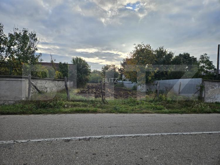 Teren intravilan, Stanesti, 3000 mp - 2
