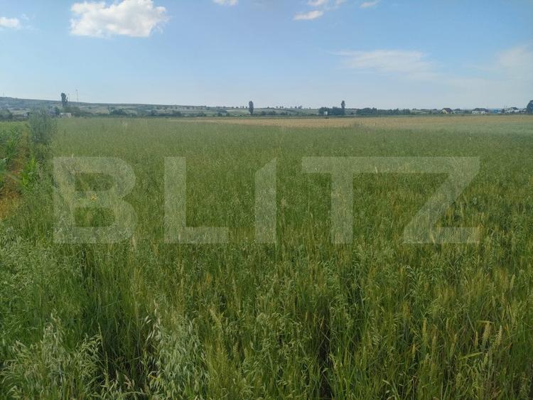 Teren extravilan, 2427 mp, Horodnic de Sus