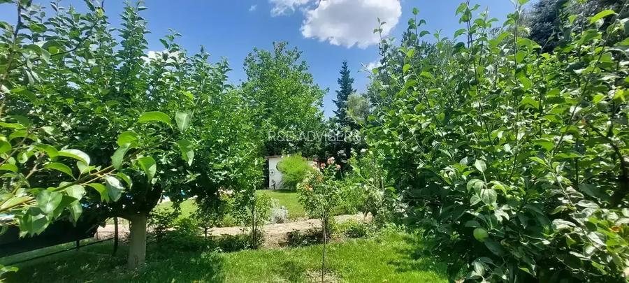 Vila cu 8 Camere Corbeanca | Semineu | Curte 2300mp | Piscina | Sauna - 9