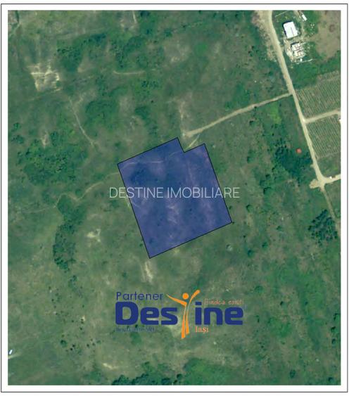 Copou - Viticultori 3 parcele teren intravilan 1417 mp + PUZ - 3