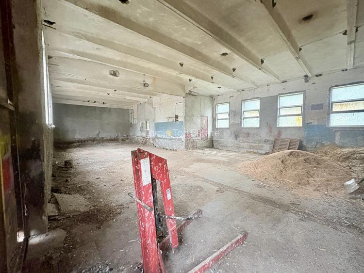 Teren in mijlocul padurii Valu lui Traian 1875 mp si cladire 450 mp hala - 5