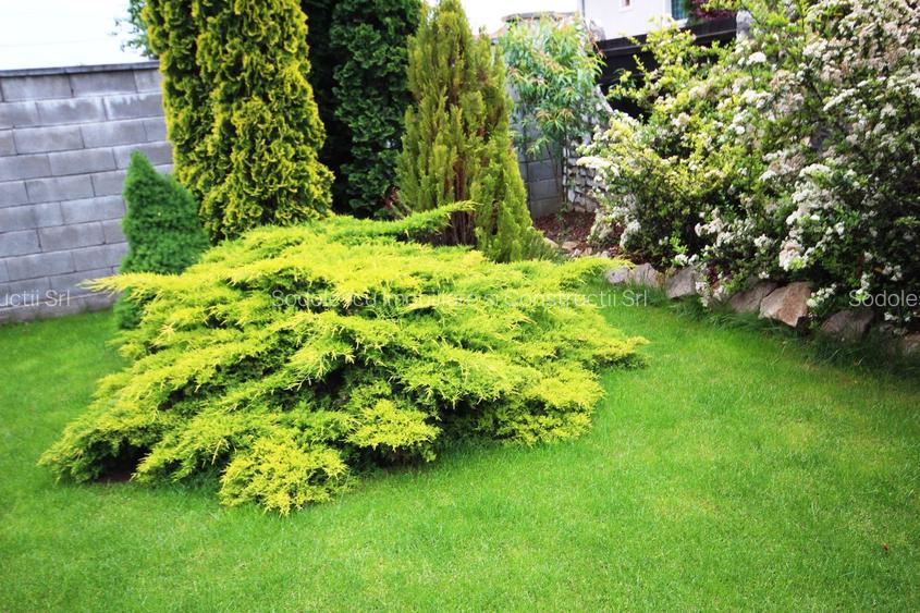 Casa individuala, ideala pentru o familie - 3