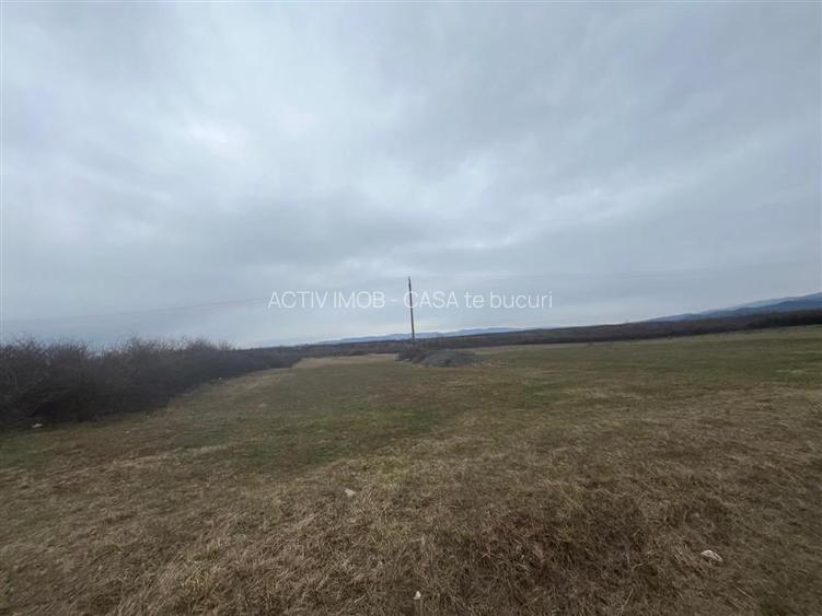 Caransebes, Teren Extravilan, Zlagnei - 2