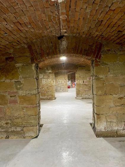 Spatiu Comercial, 258 MP, zona Podul Traian - 15