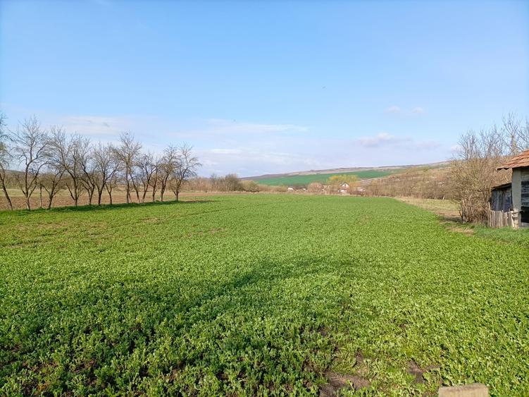 Vanzare teren intravilan parcelabil, in localitatea Rascruci