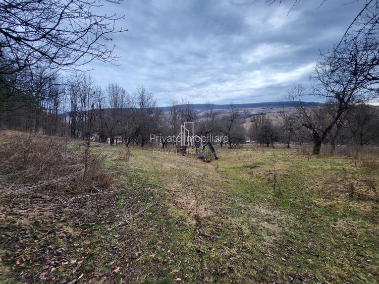 Teren de vanzare intravilan, 10 000 Mp , Sighisoara - 2
