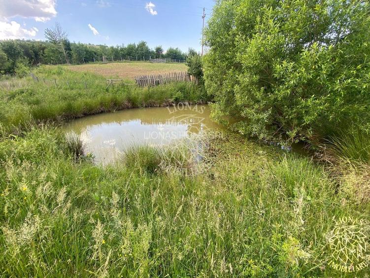 Teren 6500 mp-Lac-vedere panoramica-ideal cabana-Cusma - 5