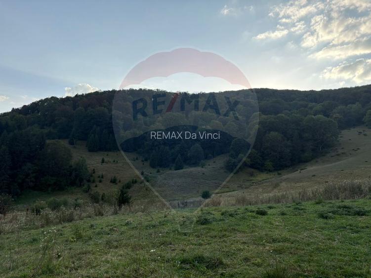 TEREN EXCLUSIV PENTRU INVESTIȚIE ÎN ZONĂ DE AGREMENT – BRAȘOV, DN 1E - 4