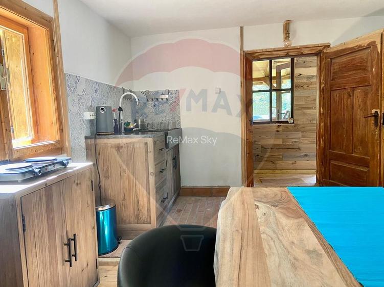 Casă de vacanță deosebită cu ciubăr si saună - natura si relaxare - 38