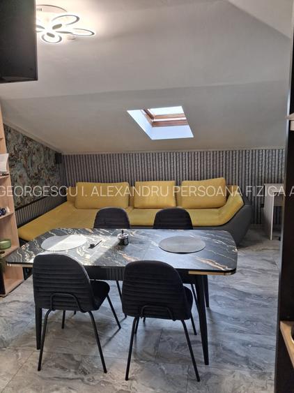 Parc Carol 3 Camere Mansarda - 4