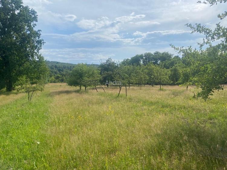 Vand teren la Muntele Mic, jud Caras Severin  - 2