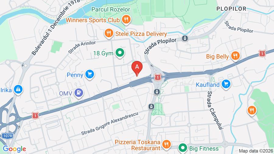 Apartament spatios si modern de inchiriat - 15