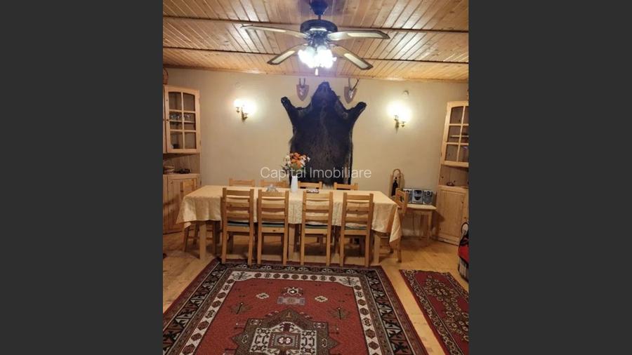 Proprietate Unică în Inima Naturii – Galaoaia, Mureș  - 8