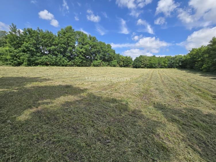 Vând teren intravilan 4.725 mp – comuna Roma, jud. Botoșani - 4