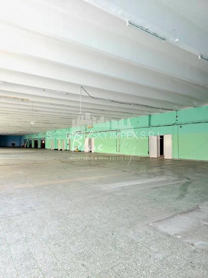 Spatiu Generos cu Terasa Circulabila in Centru - 16