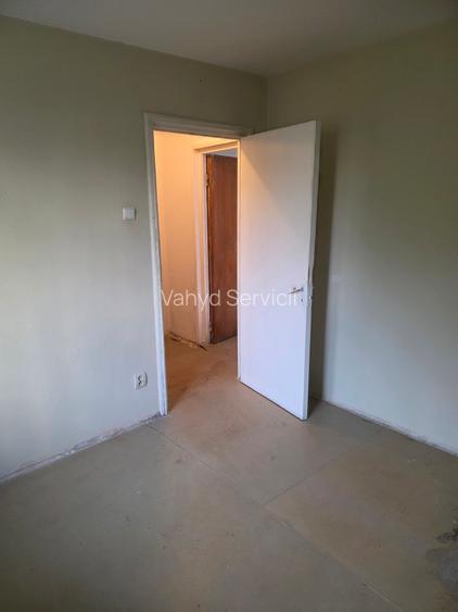 Lacul Tei  Teiul Doamnei  Colentina - 12