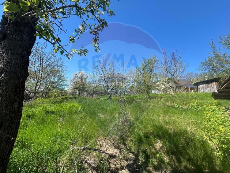 Casa bunicilor, cu gradina, Lera, Buzau! - 15