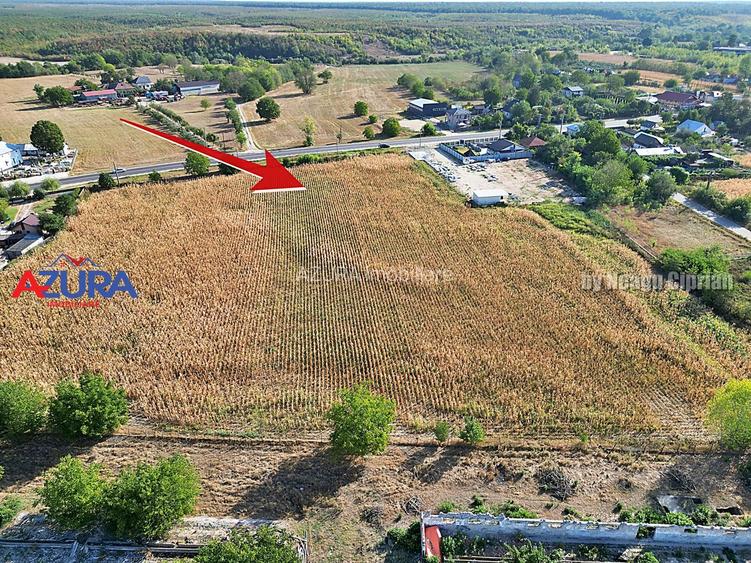 AZURA Imobiliare - Teren la DN7 langa Gaesti, Crangurile - Badulesti - 17