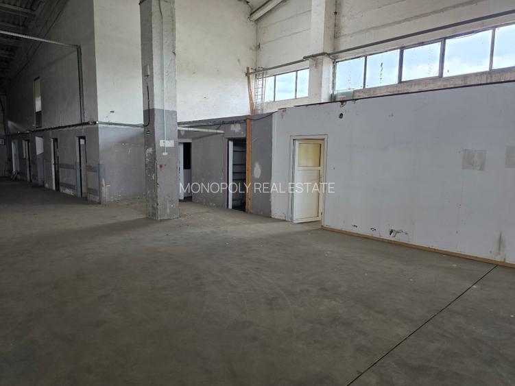 Hala Bartolomeu Brintex - 6