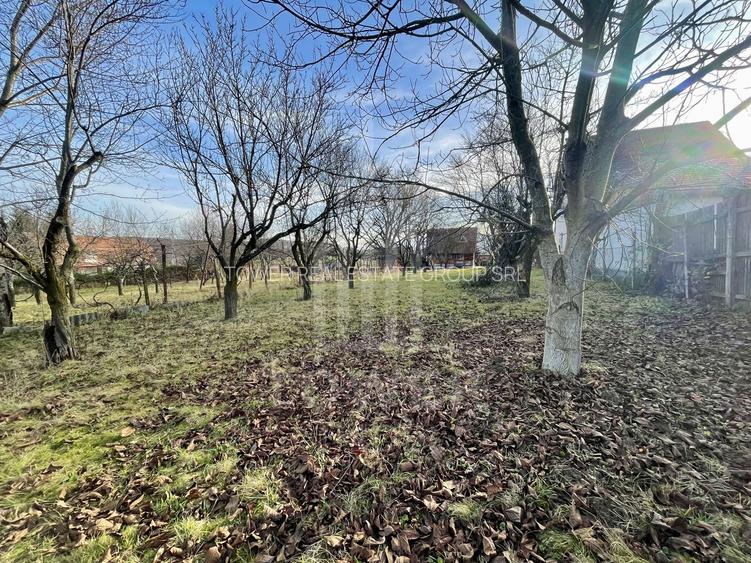 Teren intravilan 1.915 mp + cabană din lemn | Tocile – Sadu - 5